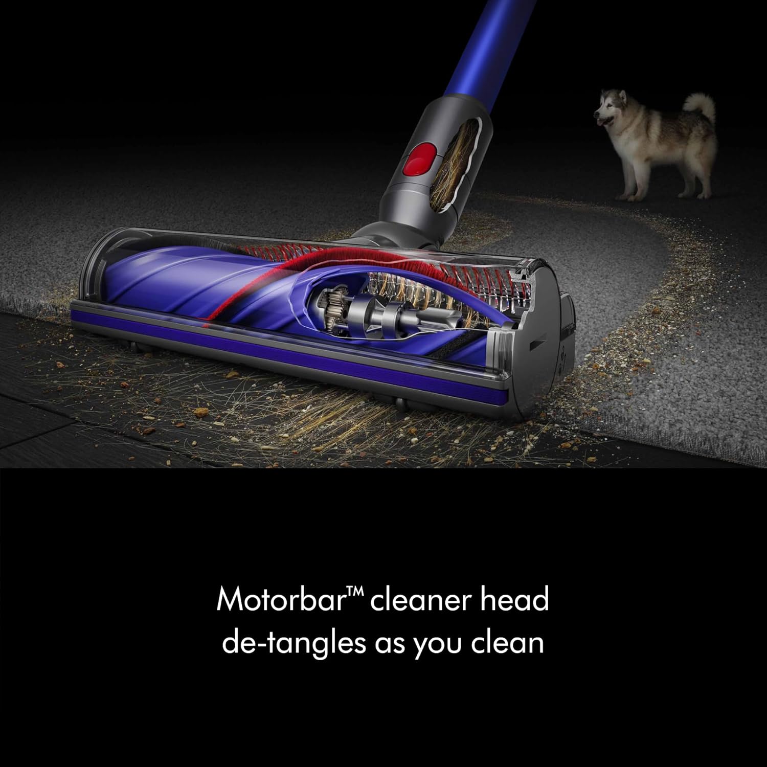 Dyson V11 Origin Cordless Vacuum, Nickel/Blue - 7DAY'S