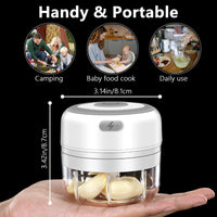 Electric Mini Garlic Chopper, 100ML Food Chopper Garlic Mincer USB, Vegetable Chopper, Onion Chopper, Portable Small Food Processor for Garlic, Ginger, Chili, Vegetables - 7DAY'S