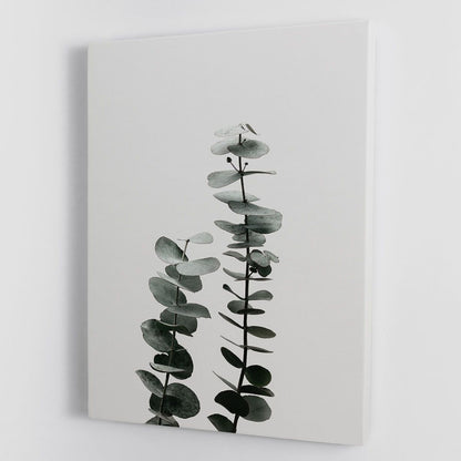 Eucalyptus Natural 03 Canvas Print or Poster - 7DAY'S