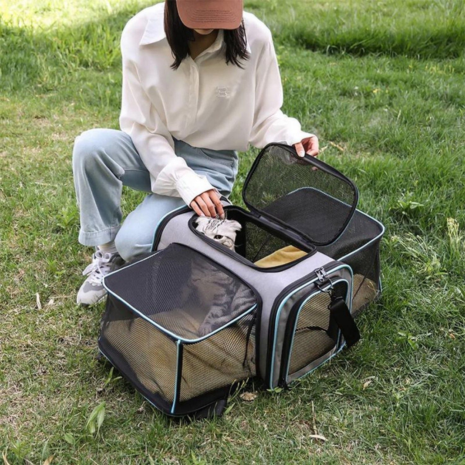 Expandable Pet Carrier Airline Approved Cat Dog Carrier Cat Collapsible Soft Carrier Bag with Removable Fleece Pad Pockets Breathable Mesh Adjustable Shoulder Strap Ban on Amazon sales - 7DAY'S