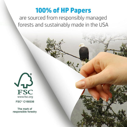 HP Printer Paper | 8.5 x 11 Paper | Copy &Print 20 lb | 1 Ream Case - 500 Sheets| 92 Bright | Made in USA - FSC Certified | 200060 - 7DAY'S