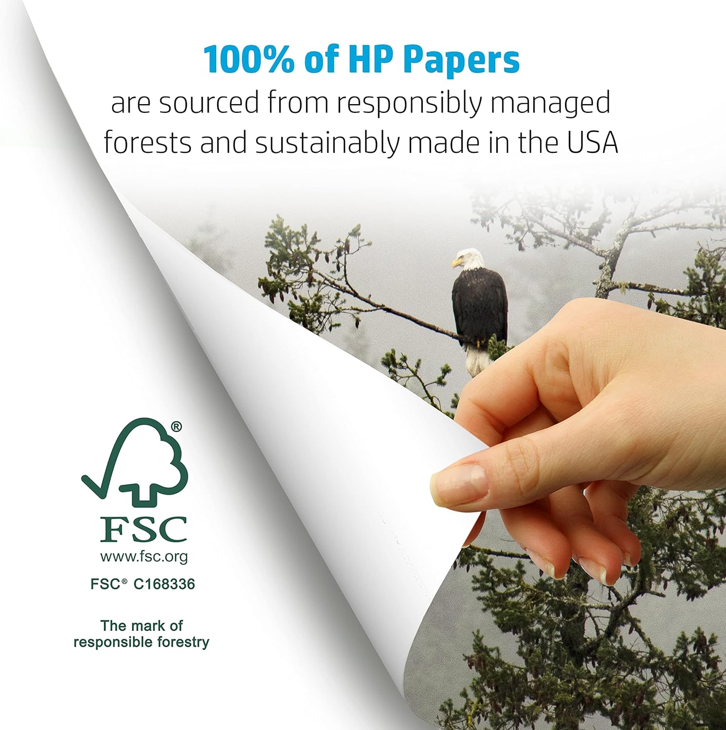 HP Printer Paper | 8.5 x 11 Paper | Copy &Print 20 lb | 1 Ream Case - 500 Sheets| 92 Bright | Made in USA - FSC Certified | 200060 - 7DAY'S