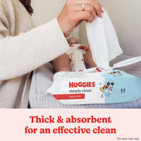 Huggies Simply Clean Unscented Baby Diaper Wipes, 11 Flip - Top Packs (704 Wipes Total), Packaging May Vary - 7DAY'S