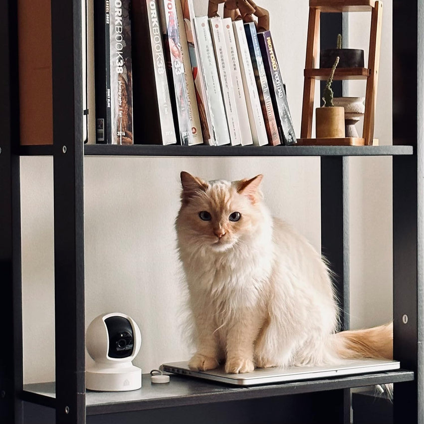 Kasa Indoor Pan/Tilt Smart Security Camera, 1080p HD Dog - Camera,2.4GHz with Night Vision,Motion Detection for Baby and Pet Monitor, Cloud & SD Card Storage, Works with Alexa& Google Home (EC70), White - 7DAY'S