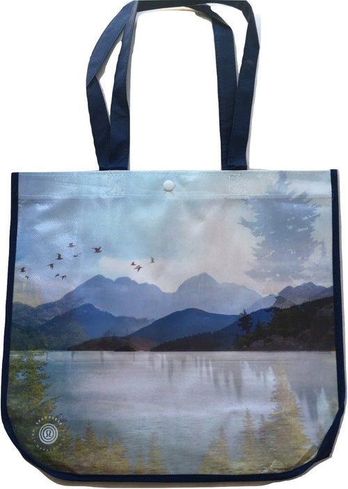 Lululemon "Rare Edition" Shopping Swimming Towel Yoga Dance Skates Gym Beach LARGE DOUBLE SIDED Reusable Tote Carryall