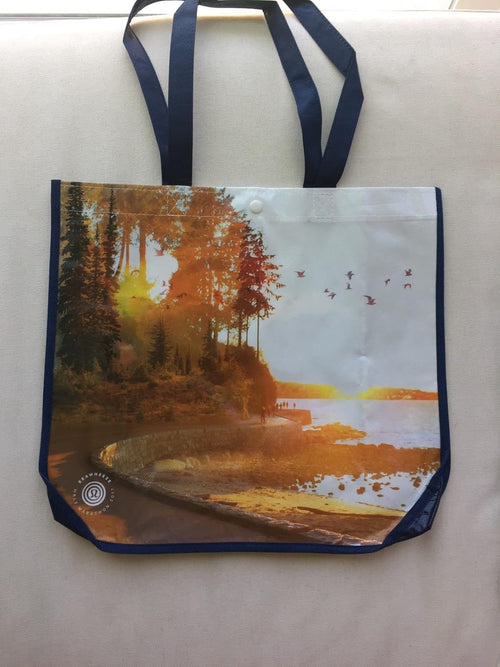 Lululemon "Rare Edition" Shopping Swimming Towel Yoga Dance Skates Gym Beach LARGE DOUBLE SIDED Reusable Tote Carryall - 7DAY'S