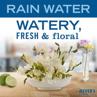 MRS. MEYER'S CLEAN DAY Hand Soap, Made with Essential Oils, Biodegradable Formula, Rain Water, 12.5 fl. oz - Pack of 3 - 7DAY'S