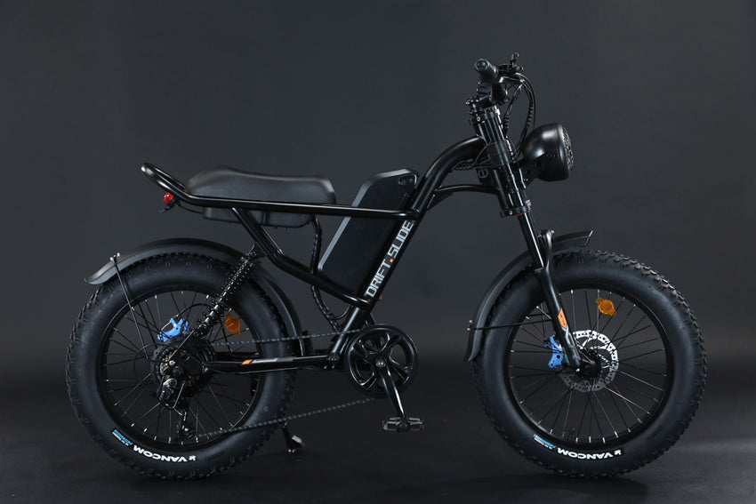 New Design 750W Mountain Electric Bicycle Out Door With Fat Tire 20''Ebike - 7DAY'S