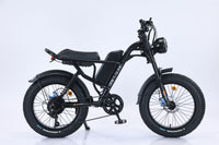 New Design 750W Mountain Electric Bicycle Out Door With Fat Tire 20''Ebike - 7DAY'S