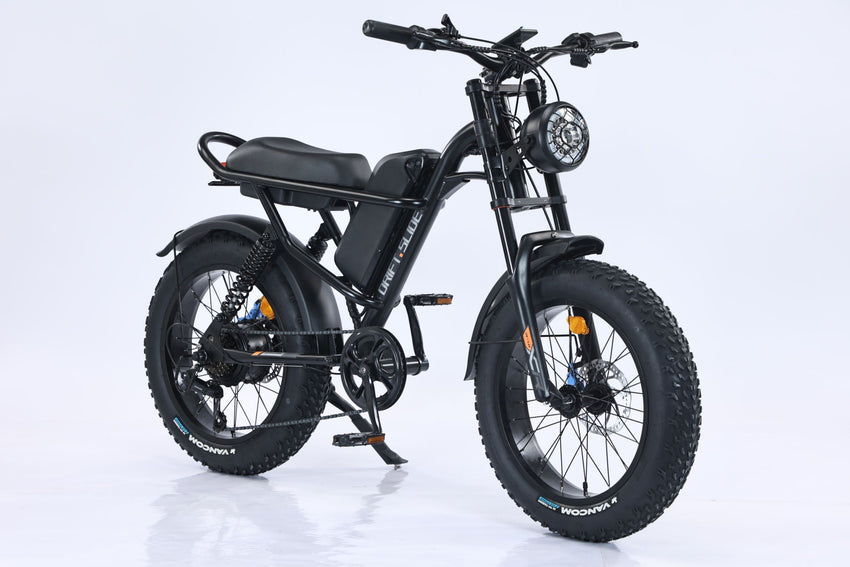 New Design 750W Mountain Electric Bicycle Out Door With Fat Tire 20''Ebike - 7DAY'S