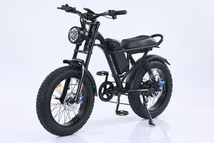 New Design 750W Mountain Electric Bicycle Out Door With Fat Tire 20''Ebike