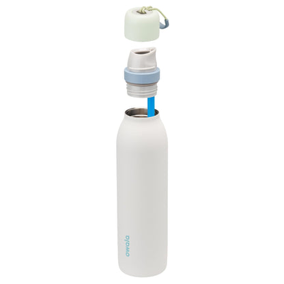 Owala FreeSip Twist Insulated Stainless Steel Water Bottle with Straw for Sports and Travel, BPA - Free, 24 - oz, Purple/Purple (California Grapevine) - 7DAY'S