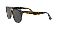 Ray - Ban RB2185 Wayfarer II Round Sunglasses - 7DAY'S