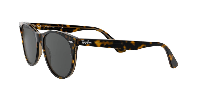 Ray - Ban RB2185 Wayfarer II Round Sunglasses - 7DAY'S