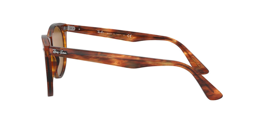 Ray - Ban RB2185 Wayfarer II Round Sunglasses - 7DAY'S