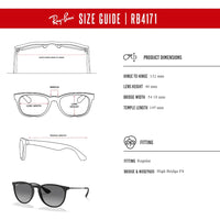 Ray - Ban RB4171 ERIKA Round Sunglasses For Women + BUNDLE with Designer iWear Eyewear Care Kit - 7DAY'S