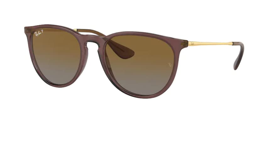 Ray - Ban RB4171 ERIKA Round Sunglasses For Women + BUNDLE with Designer iWear Eyewear Care Kit - 7DAY'S