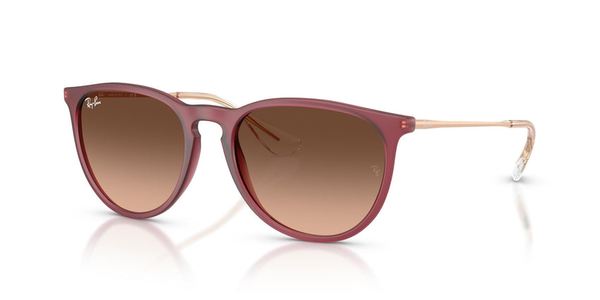 Ray - Ban Women's Rb4171 Erika Round Sunglasses - 7DAY'S