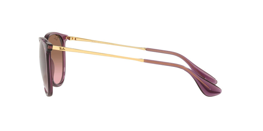 Ray - Ban Women's Rb4171 Erika Round Sunglasses - 7DAY'S