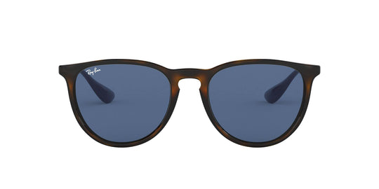 Ray-Ban Women's Rb4171 Erika Round Sunglasses