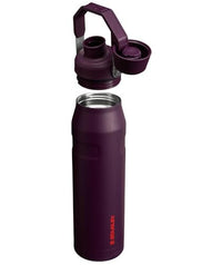 Stanley IceFlow Fast Flow Water Bottle | Angled Spout Lid | Lightweight & Leakproof for Travel & Sports | Insulated Stainless Steel | BPA - Free - 7DAY'S