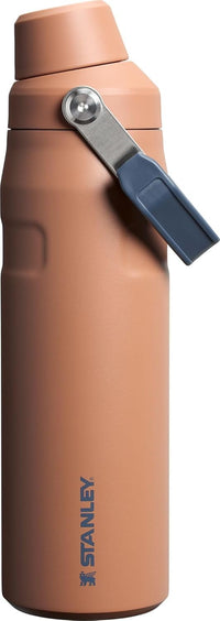 Stanley IceFlow Fast Flow Water Bottle | Angled Spout Lid | Lightweight & Leakproof for Travel & Sports | Insulated Stainless Steel | BPA - Free - 7DAY'S