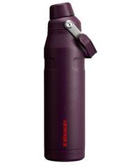Stanley IceFlow Fast Flow Water Bottle | Angled Spout Lid | Lightweight & Leakproof for Travel & Sports | Insulated Stainless Steel | BPA - Free - 7DAY'S