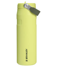Stanley IceFlow Flip Straw 2.0 Water Bottle 24 oz | Built - In Straw for Travel and Sports | Lightweight and Leak Resistant | Insulated Stainless Steel | BPA - Free | Prickly Pear - 7DAY'S