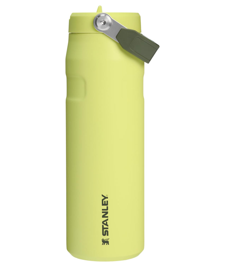 Stanley IceFlow Flip Straw 2.0 Water Bottle 24 oz | Built - In Straw for Travel and Sports | Lightweight and Leak Resistant | Insulated Stainless Steel | BPA - Free | Prickly Pear - 7DAY'S
