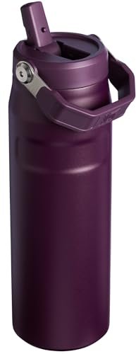 Stanley IceFlow Flip Straw 2.0 Water Bottle 24 oz | Built - In Straw for Travel and Sports | Lightweight and Leak Resistant | Insulated Stainless Steel | BPA - Free | Prickly Pear - 7DAY'S