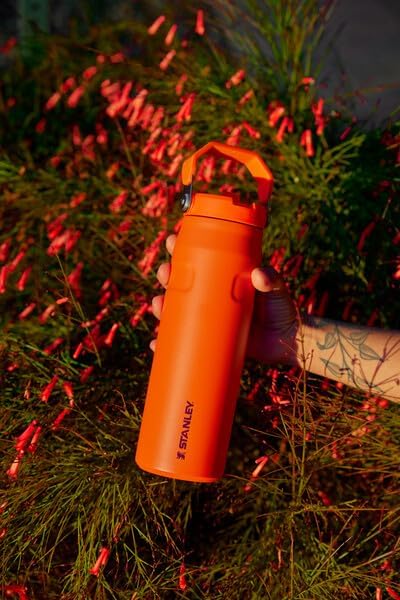 Stanley IceFlow Flip Straw 2.0 Water Bottle 24 oz | Built - In Straw for Travel and Sports | Lightweight and Leak Resistant | Insulated Stainless Steel | BPA - Free | Prickly Pear - 7DAY'S