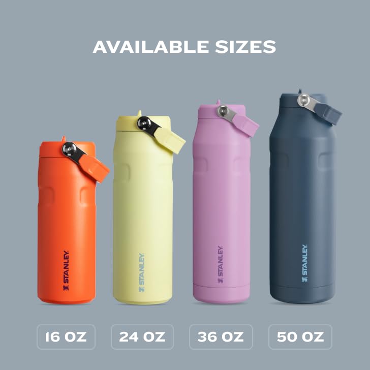 Stanley IceFlow Flip Straw 2.0 Water Bottle 24 oz | Built - In Straw for Travel and Sports | Lightweight and Leak Resistant | Insulated Stainless Steel | BPA - Free | Prickly Pear - 7DAY'S