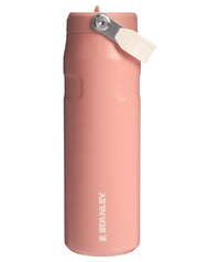 Stanley IceFlow Flip Straw 2.0 Water Bottle 24 oz | Built - In Straw for Travel and Sports | Lightweight and Leak Resistant | Insulated Stainless Steel | BPA - Free | Prickly Pear - 7DAY'S