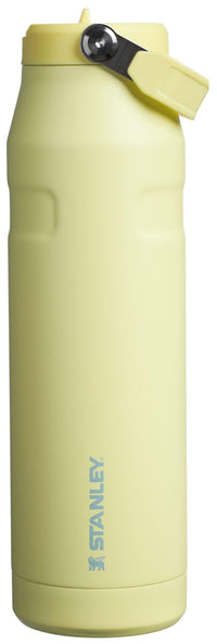 Stanley IceFlow Flip Straw 2.0 Water Bottle 24 oz | Built - In Straw for Travel and Sports | Lightweight and Leak Resistant | Insulated Stainless Steel | BPA - Free | Prickly Pear - 7DAY'S