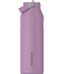 Stanley IceFlow Flip Straw 2.0 Water Bottle 24 oz | Built - In Straw for Travel and Sports | Lightweight and Leak Resistant | Insulated Stainless Steel | BPA - Free | Prickly Pear - 7DAY'S