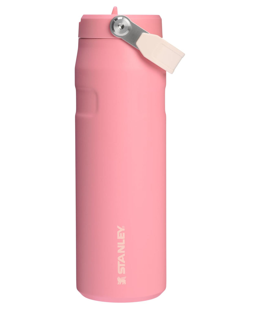 Stanley IceFlow Flip Straw 2.0 Water Bottle 24 oz | Built - In Straw for Travel and Sports | Lightweight and Leak Resistant | Insulated Stainless Steel | BPA - Free | Prickly Pear - 7DAY'S