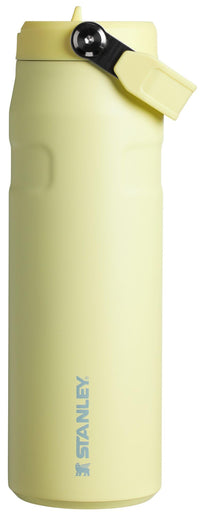 Stanley IceFlow Flip Straw 2.0 Water Bottle 24 oz | Built - In Straw for Travel and Sports | Lightweight and Leak Resistant | Insulated Stainless Steel | BPA - Free | Prickly Pear - 7DAY'S