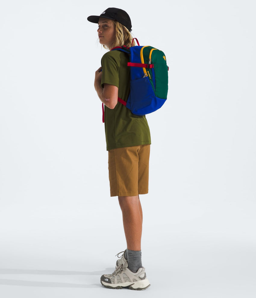 THE NORTH FACE Basin 15 Liter Daypack | Unisex Backpack with Adjustable Shoulder Straps, Water - Repellent Finish, Sternum Strap, Hiking Pole Attachment, TNF Black/Asphalt Grey - NPF, One Size - 7DAY'S