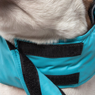 Touchdog Lightening - Shield Waterproof 2 - in - 1 Convertible Dog Jacket w/ Blackshark technology - 7DAY'S