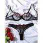 Transparent Underwear Sexy Lingerie Woman Lace Fairy Embroidery Brief Sets Delicate Bra Kit Push Up Breves Sets Thin Erotic Bras - 7DAY'S
