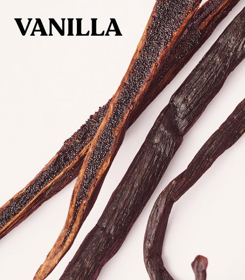 Victoria's Secret PINK Body Lotion, Vanilla 12 oz - 7DAY'S