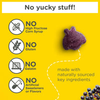 Zarbee’s Kids Elderberry Immune Support* Gummies, Daily Vitamins A C D3 E & Zinc, Real Elderberry Extract, Gelatin & Gluten Free, No Artificial Flavors, Natural Berry Flavor, Ages 2+, 42 Ct Bottle - 7DAY'S