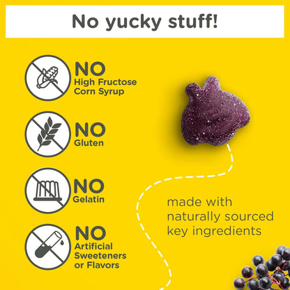 Zarbee’s Kids Elderberry Immune Support* Gummies, Daily Vitamins A C D3 E & Zinc, Real Elderberry Extract, Gelatin & Gluten Free, No Artificial Flavors, Natural Berry Flavor, Ages 2+, 42 Ct Bottle - 7DAY'S